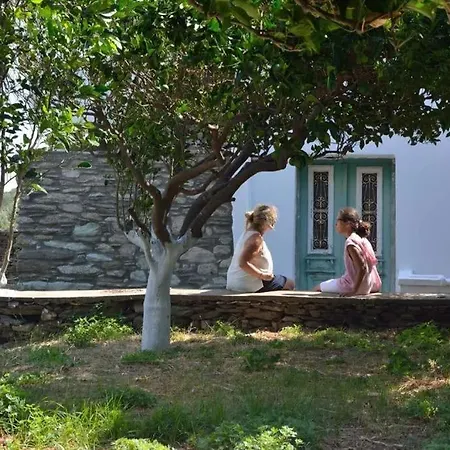 La Maison Du Capitaine Mesaria (Andros)